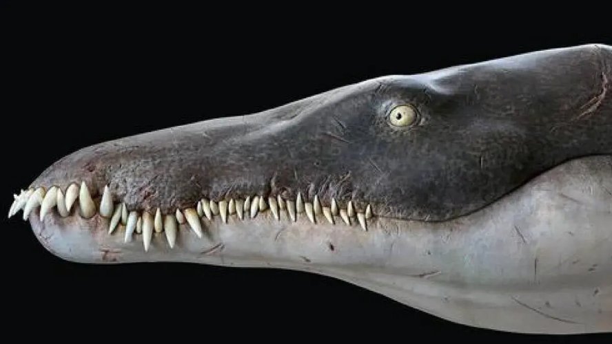 El megadepredador más antiguo conocido: el pliosaurio